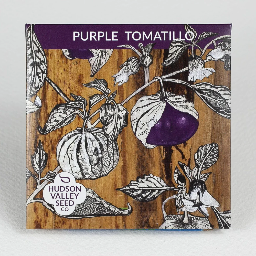 HV Purple Tomatillo